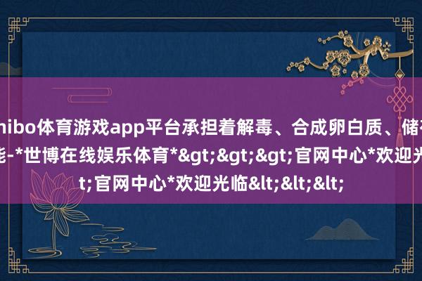 shibo体育游戏app平台承担着解毒、合成卵白质、储存能量等要道功能-*世博在线娱乐体育*>>>官网中心*欢迎光临<<<