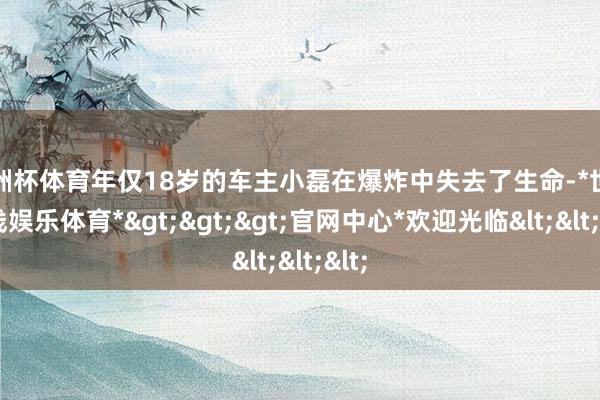 欧洲杯体育年仅18岁的车主小磊在爆炸中失去了生命-*世博在线娱乐体育*>>>官网中心*欢迎光临<<<