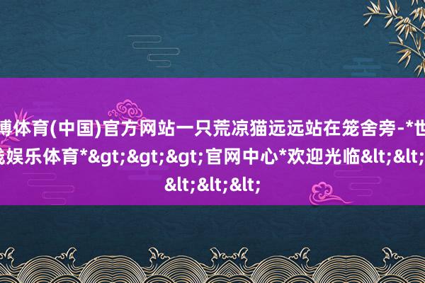 世博体育(中国)官方网站一只荒凉猫远远站在笼舍旁-*世博在线娱乐体育*>>>官网中心*欢迎光临<<<