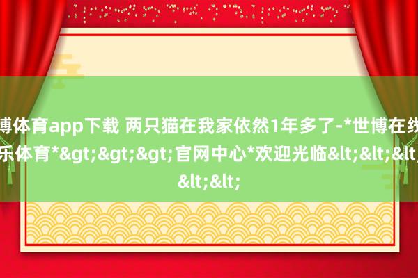 世博体育app下载 两只猫在我家依然1年多了-*世博在线娱乐体育*>>>官网中心*欢迎光临<<<