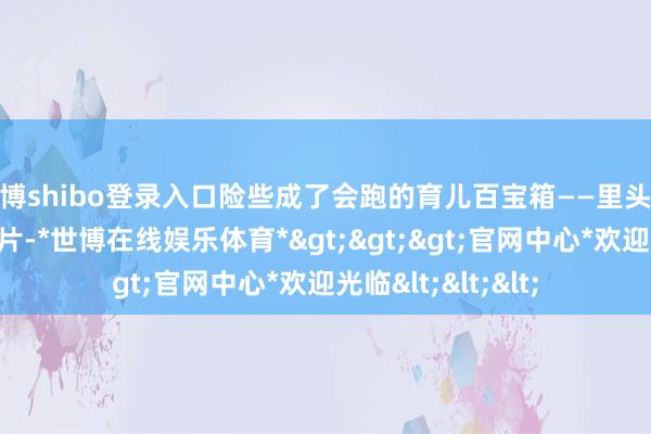 世博shibo登录入口险些成了会跑的育儿百宝箱——里头塞的不啻是奶粉尿片-*世博在线娱乐体育*>>>官网中心*欢迎光临<<<