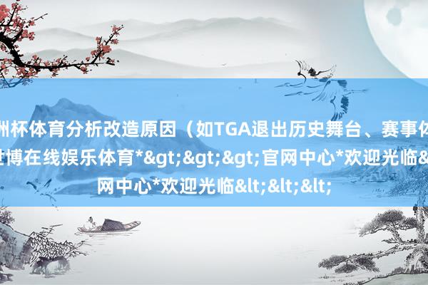 欧洲杯体育分析改造原因（如TGA退出历史舞台、赛事体系优化）-*世博在线娱乐体育*>>>官网中心*欢迎光临<<<