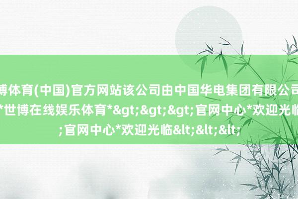 世博体育(中国)官方网站该公司由中国华电集团有限公司迤逦全资握股-*世博在线娱乐体育*>>>官网中心*欢迎光临<<<
