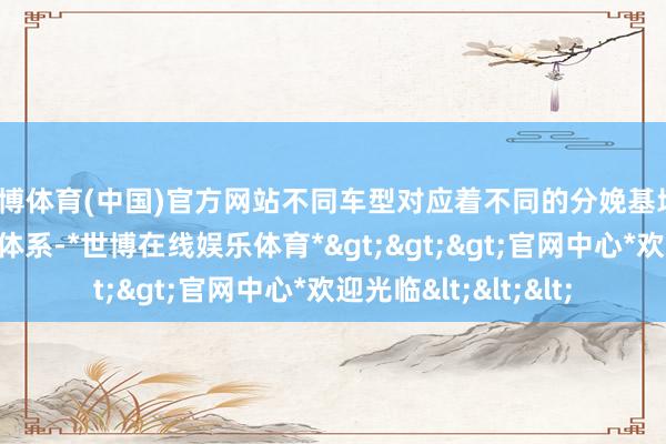 世博体育(中国)官方网站不同车型对应着不同的分娩基地、销售渠说念等已有体系-*世博在线娱乐体育*>>>官网中心*欢迎光临<<<